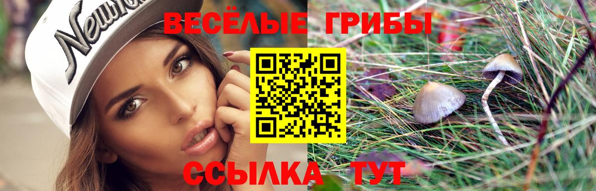 Галлюциногенные грибы Magic Shrooms Каспийск